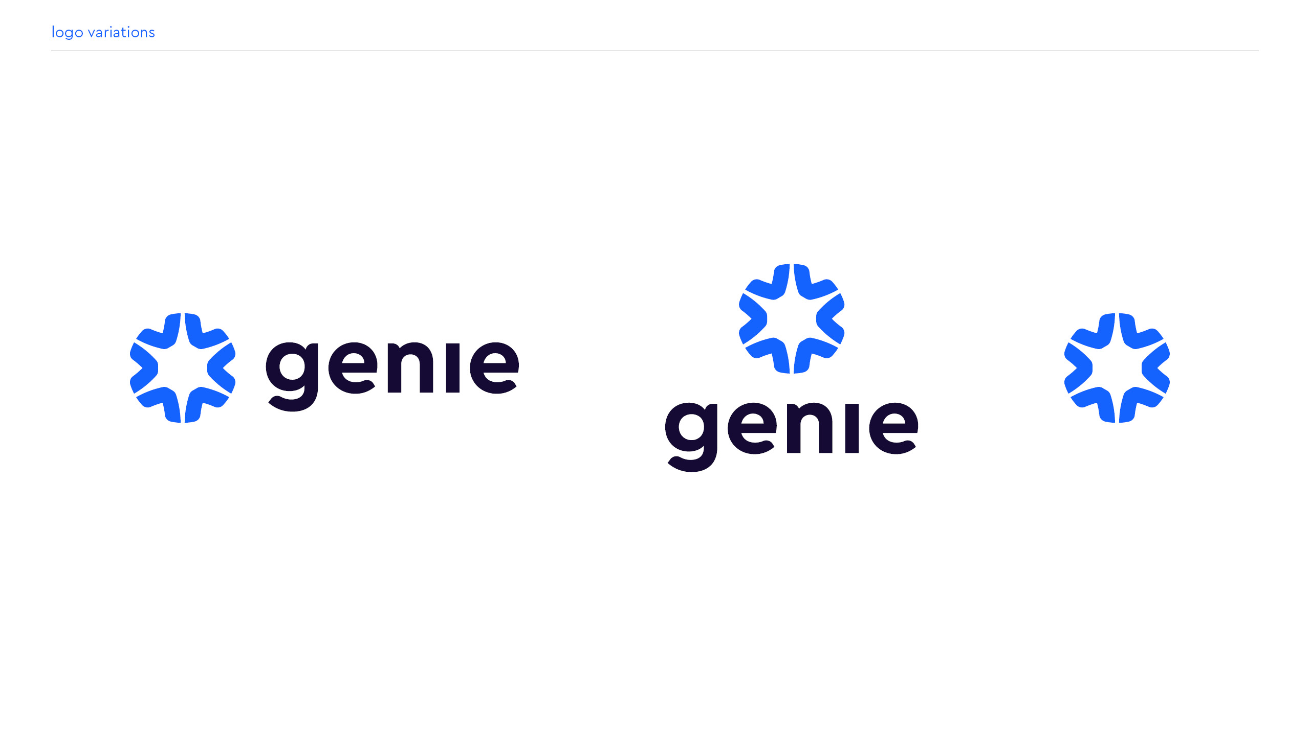 genie_project7
